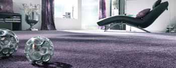 Ein lilafarbener Teppich in einem Wohnzimmer. Thomas Jung Maler- & Stukkateurbetrieb aus Spiesen